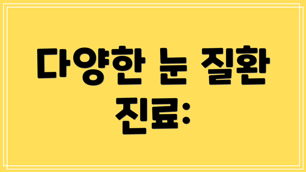 다양한 눈 질환 진료: