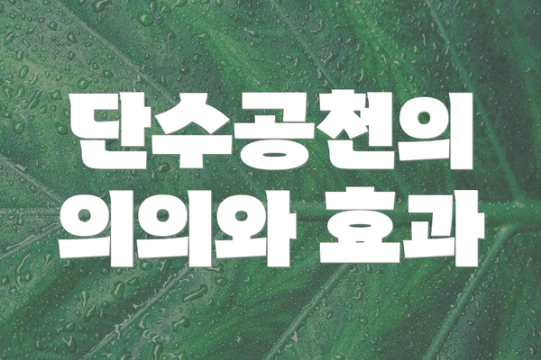 단수공천의 의의와 효과