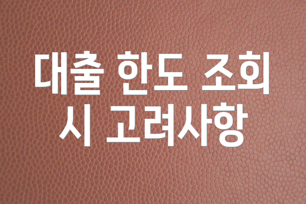 대출 한도 조회 시 고려사항