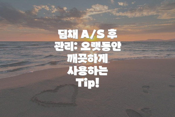 딤채 A/S 후 관리: 오랫동안 깨끗하게 사용하는 Tip!