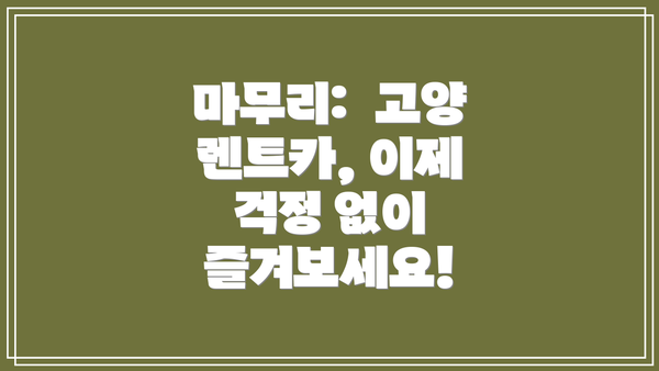마무리:  고양 렌트카, 이제 걱정 없이 즐겨보세요!