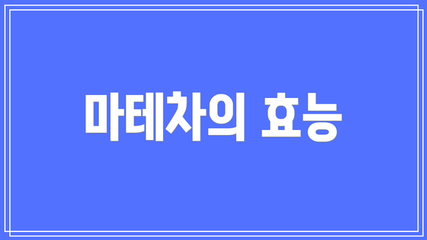 마테차의 효능
