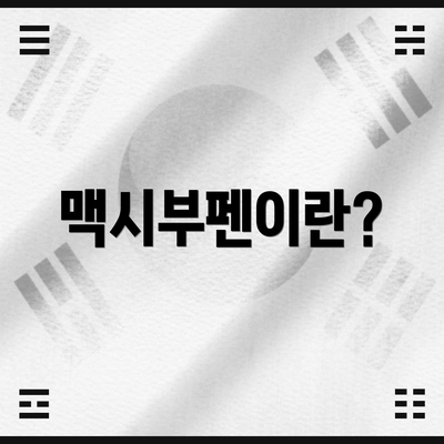맥시부펜이란?