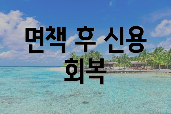 면책 후 신용 회복