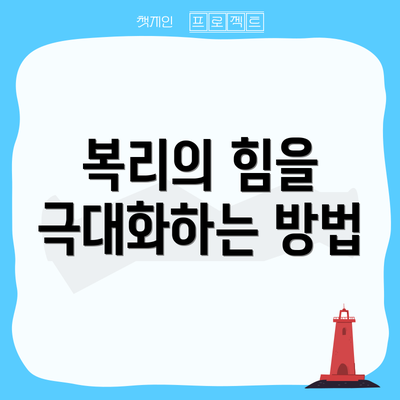 복리의 힘을 극대화하는 방법