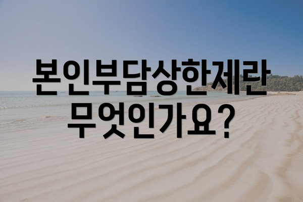 본인부담상한제란 무엇인가요?