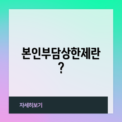 본인부담상한제란?