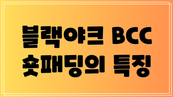블랙야크 BCC 숏패딩의 특징