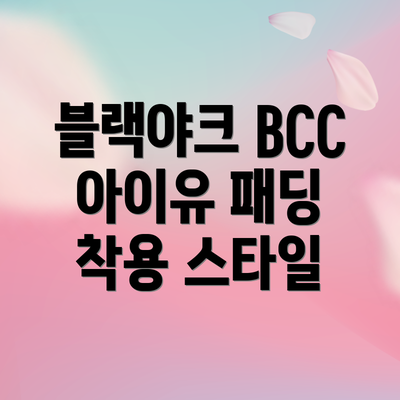 블랙야크 BCC 아이유 패딩 착용 스타일