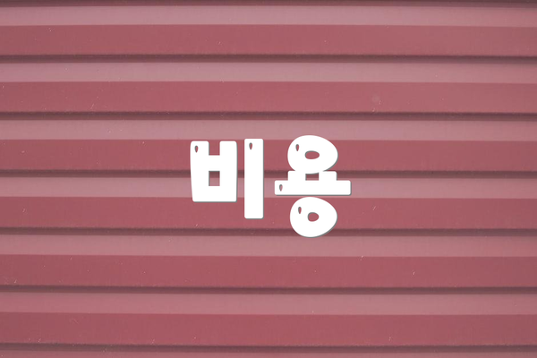 비용