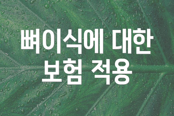 뼈이식에 대한 보험 적용