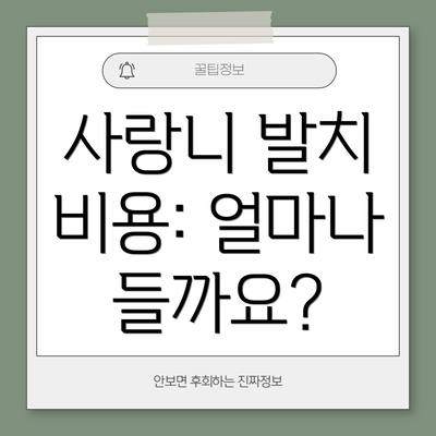 사랑니 발치 비용: 얼마나 들까요?