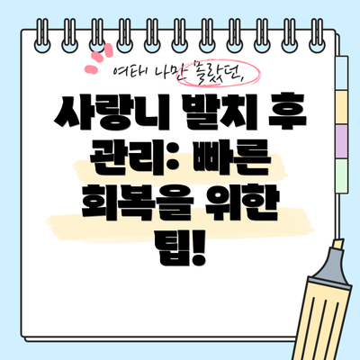 사랑니 발치 후 관리: 빠른 회복을 위한 팁!
