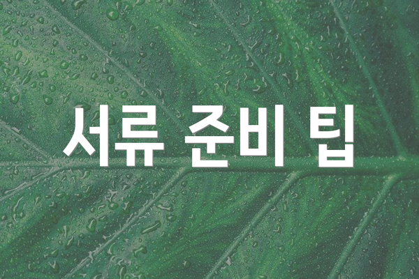 서류 준비 팁