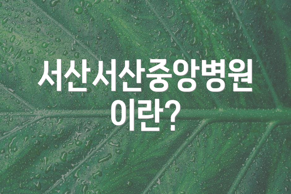 서산서산중앙병원이란?