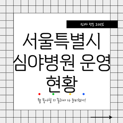 서울특별시 심야병원 운영 현황