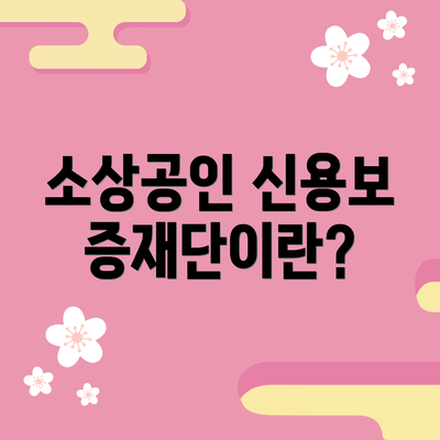 소상공인 신용보증재단이란?