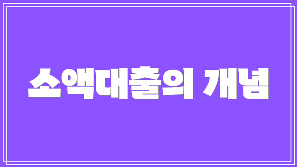 소액대출의 개념