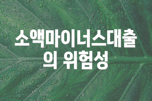 소액마이너스대출의 위험성