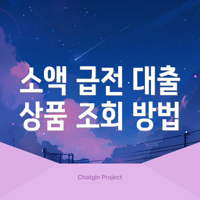 소액 급전 대출 상품 조회 방법