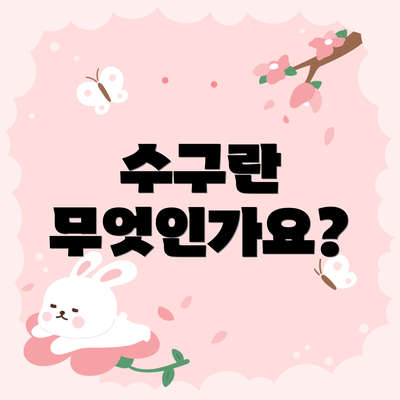 수구란 무엇인가요?