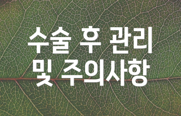 수술 후 관리 및 주의사항