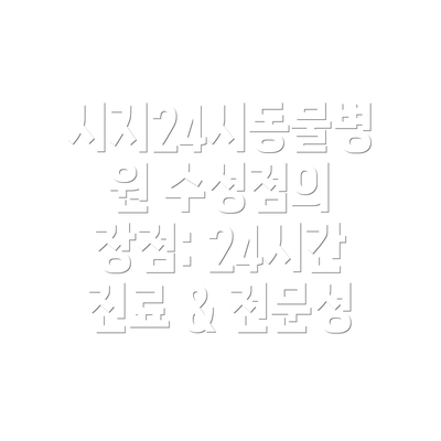시지24시동물병원 수성점의 장점: 24시간 진료 & 전문성