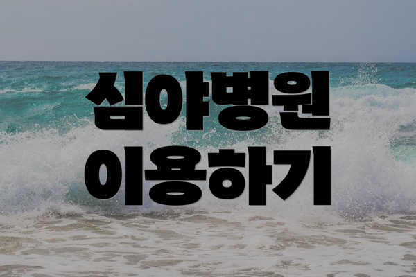 심야병원 이용하기