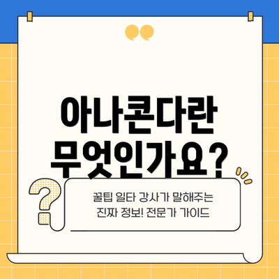 아나콘다란 무엇인가요?