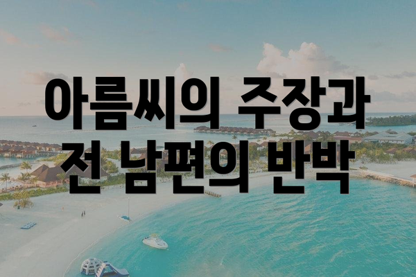 아름씨의 주장과 전 남편의 반박