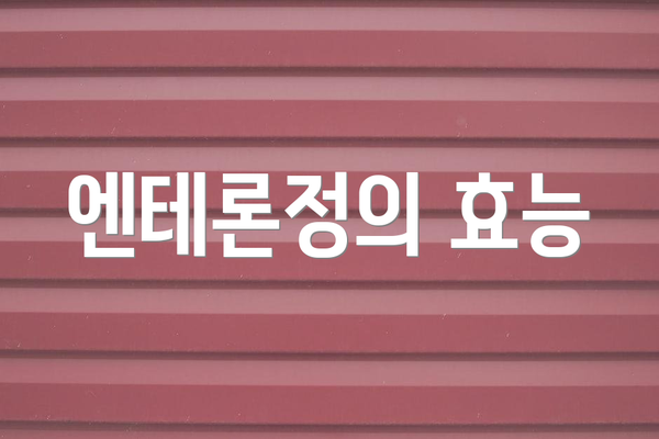 엔테론정의 효능