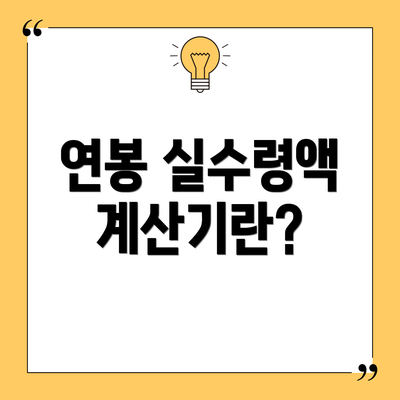 연봉 실수령액 계산기란?