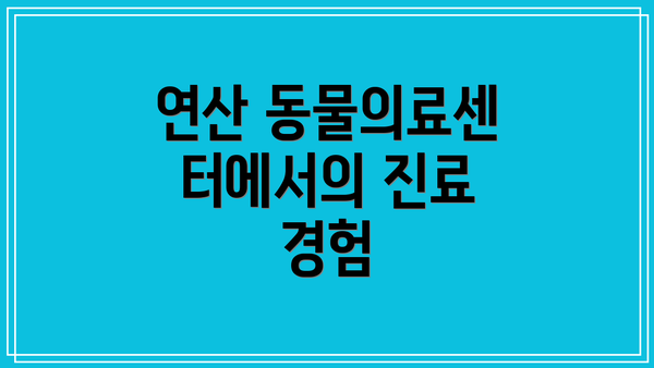 연산 동물의료센터에서의 진료 경험