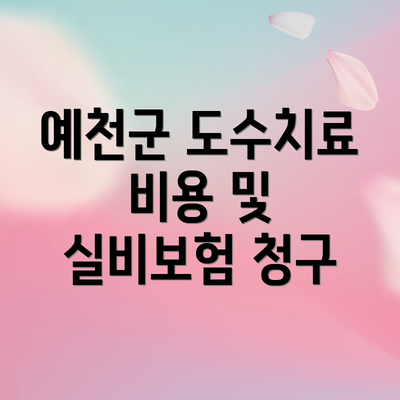 예천군 도수치료 비용 및 실비보험 청구