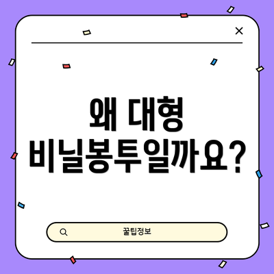 왜 대형 비닐봉투일까요?