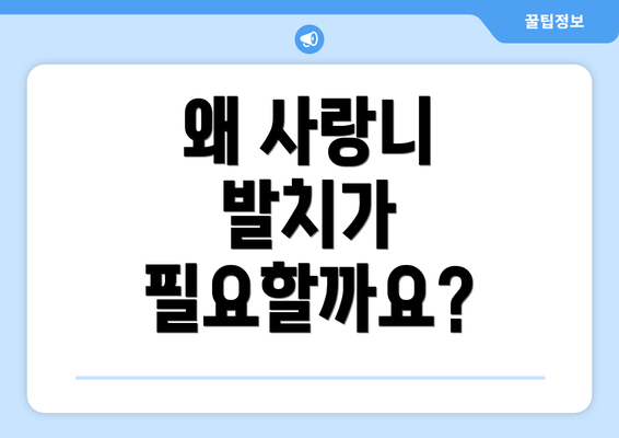 왜 사랑니 발치가 필요할까요?