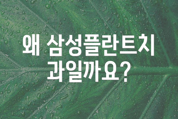 왜 삼성플란트치과일까요?