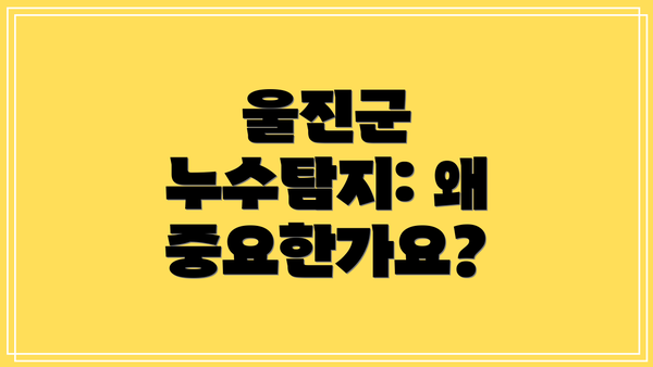 울진군 누수탐지: 왜 중요한가요?