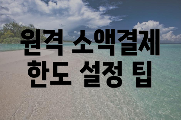 원격 소액결제 한도 설정 팁