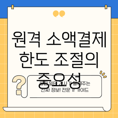 원격 소액결제 한도 조절의 중요성