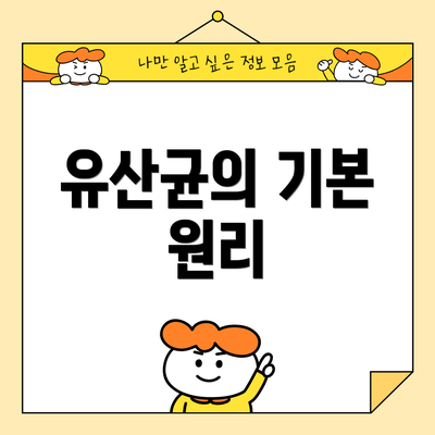 유산균의 기본 원리