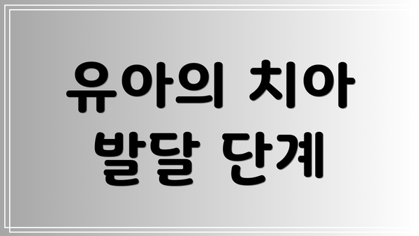 유아의 치아 발달 단계
