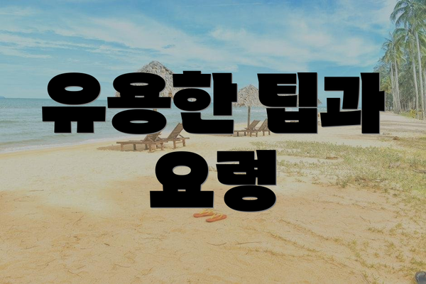 유용한 팁과 요령