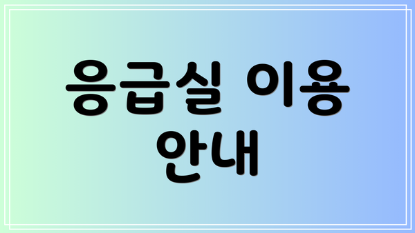 응급실 이용 안내