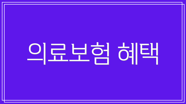의료보험 혜택