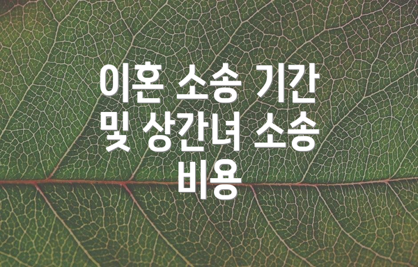 이혼 소송 기간 및 상간녀 소송 비용