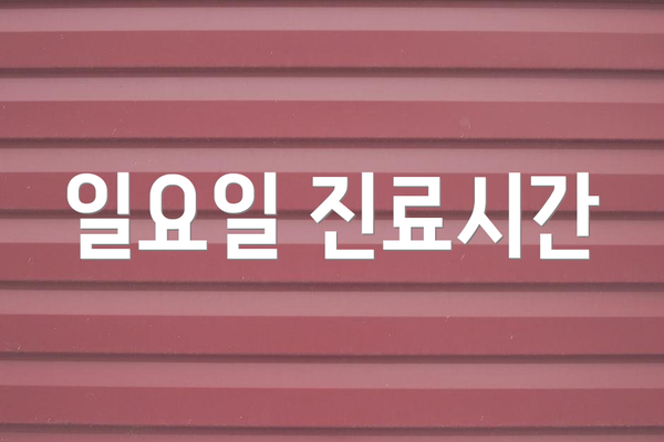 일요일 진료시간