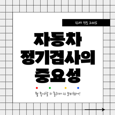 자동차 정기검사의 중요성
