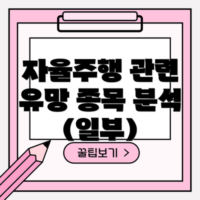 자율주행 관련 유망 종목 분석 (일부)