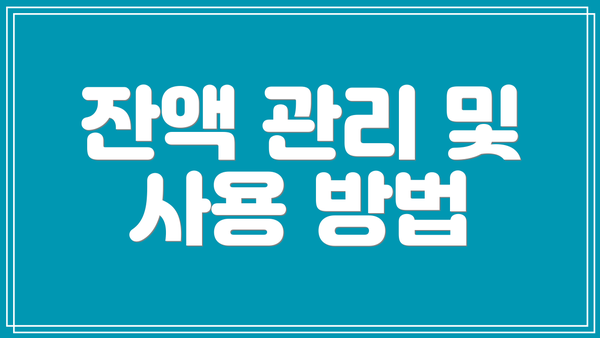 잔액 관리 및 사용 방법